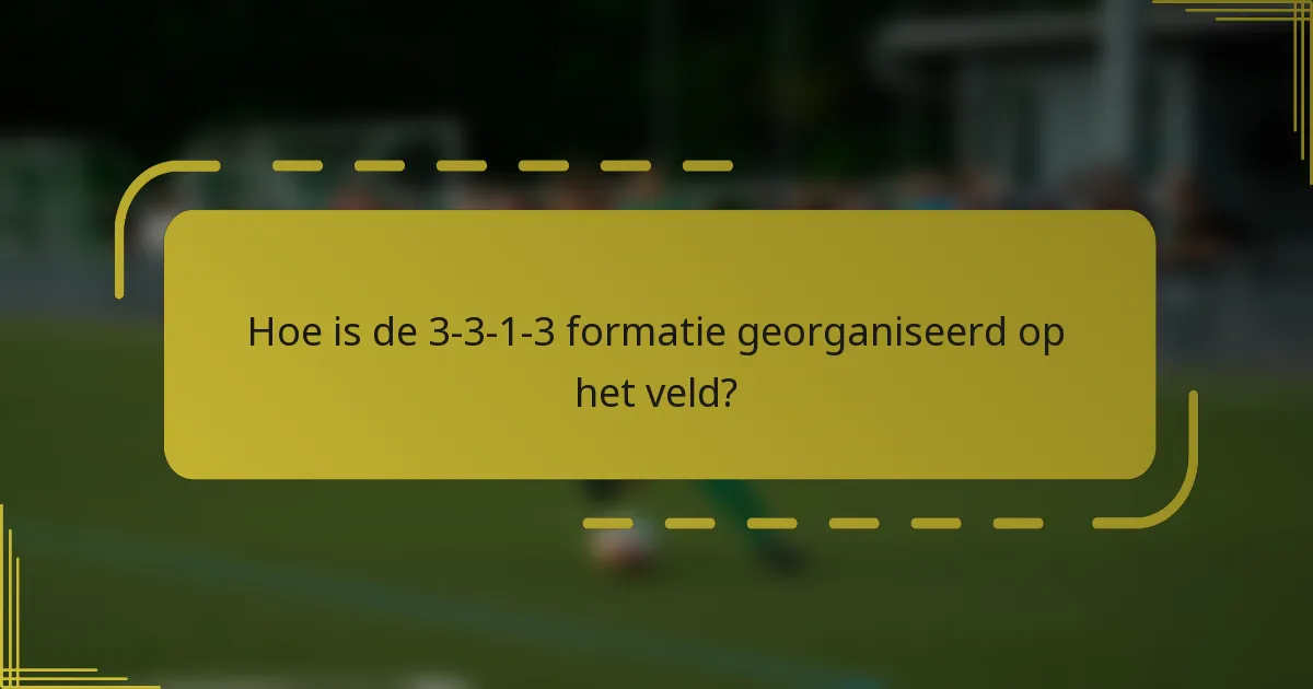 Hoe is de 3-3-1-3 formatie georganiseerd op het veld?