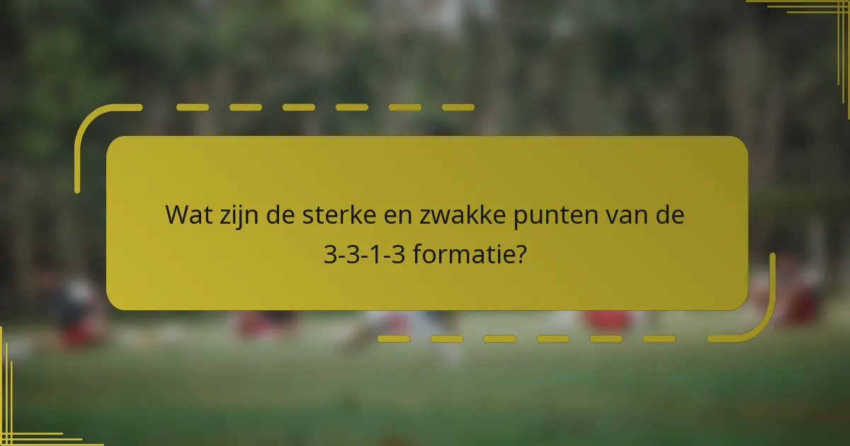 Wat zijn de sterke en zwakke punten van de 3-3-1-3 formatie?